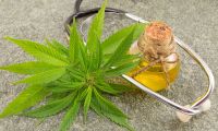 A Kannabisz olaj káprázatos sikere